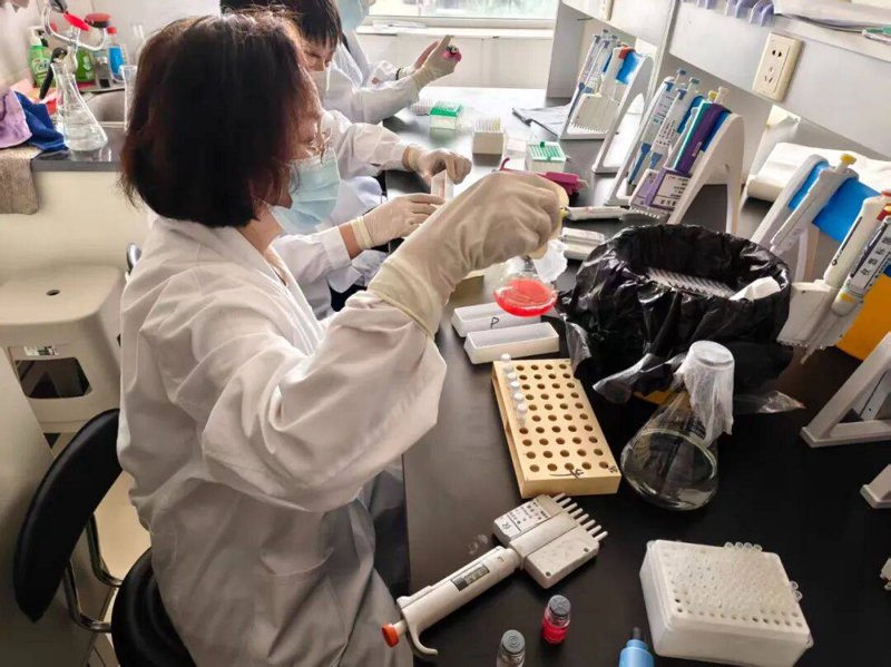 第三方检测:企业如何选择最适合的合作伙伴?